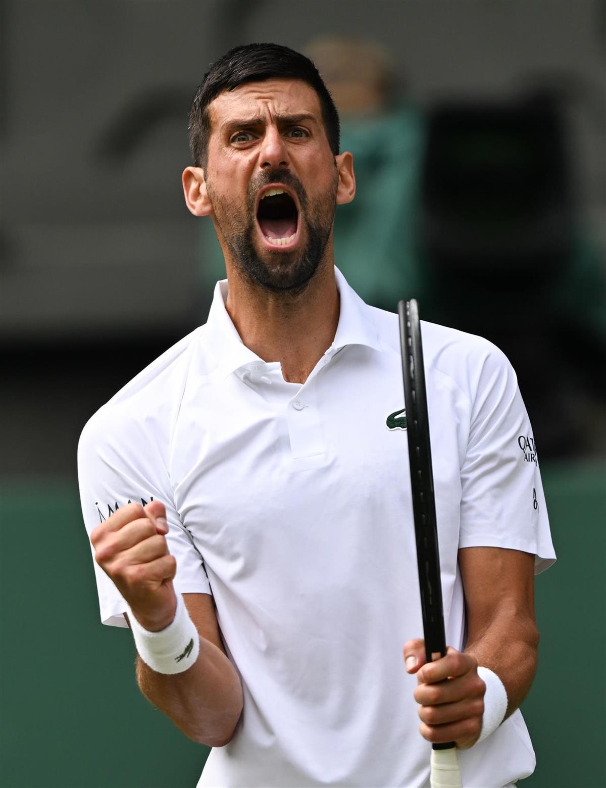 开云体育平台APP-温网横扫戴维斯杯，德约科维奇高光表现